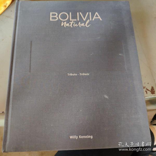 BOLIVIA  natural