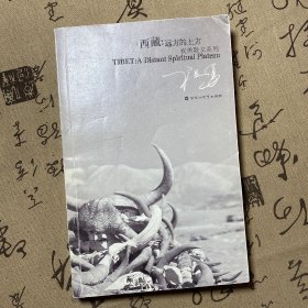 西藏，远方的上方：祝勇文化笔记