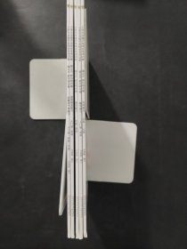 小學(xué)生全腦開發(fā)綜合專項(xiàng)訓(xùn)練