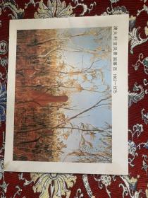澳大利亚风景画展览1802-1975