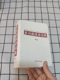 多功能成语词典（新版）