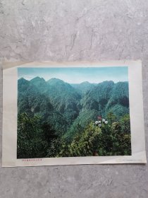 革命圣地井冈山主峰（四开）