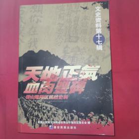 文史资料（第十七辑）天地正气血肉丰碑 : 保山隆阳区抗战历史文选