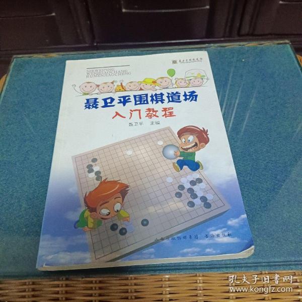 聂卫平围棋道场入门教程