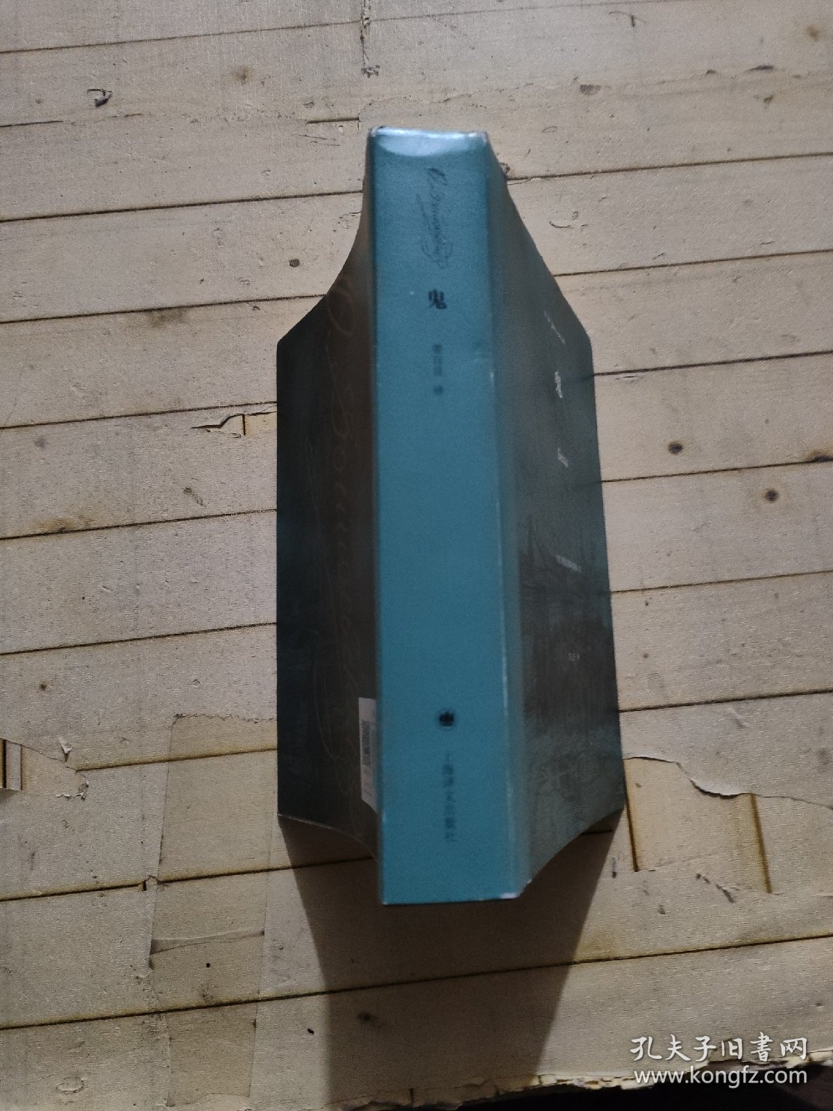 陀思妥耶夫斯基文集：鬼