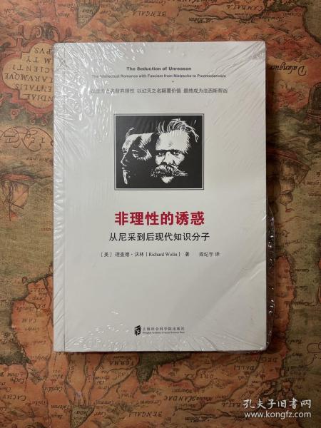 非理性的诱惑:从尼采到后现代知识分子