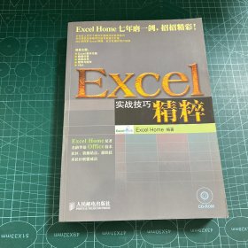 Excel实战技巧精粹