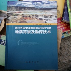 国内外典型湖相碳酸盐油气藏地质背景及勘探技术