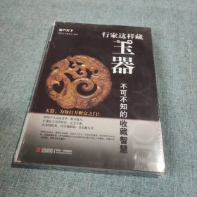 鉴石天下：行家这样藏玉器