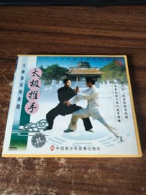 太极拳实用套路 太极推手（单碟装 VCD）