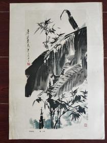 名家国画《竹蕉麻雀》（8开）