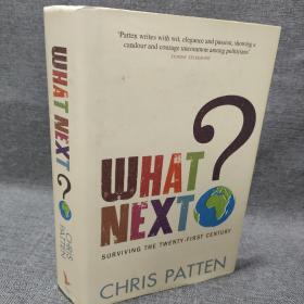 What Next?：Surviving the Twenty-first Century