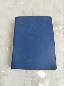 实用药物手册