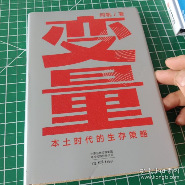 变量：本土时代的生存策略（罗振宇2021年跨年演讲郑重推荐，著名经济学者何帆全新力作）