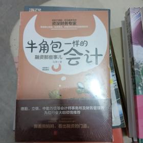 牛角包一样的会计：融资那些事儿