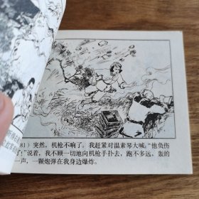 精品连环画：《朝阳花》