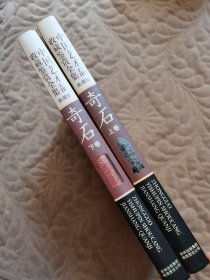 中国艺术品收,藏鉴赏全集 奇石 上下