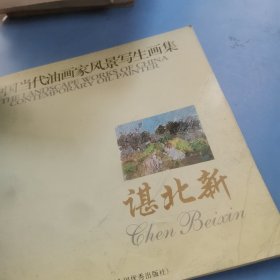 谌北新——中国当代油画家风景写生画集