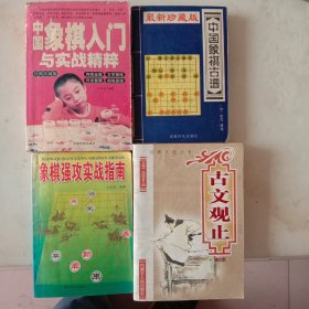 中国象棋入门与实战精粹