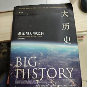 大历史：虚无与万物之间 （全彩插图版） 实物拍图