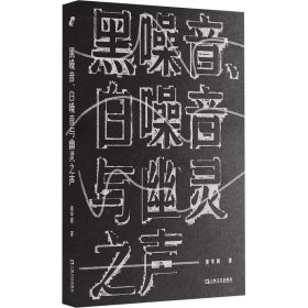 黑噪音、白噪音与幽灵之声