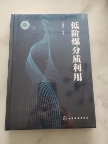 低阶煤分质利用