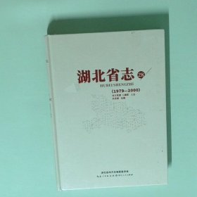 正版书  湖北省志28