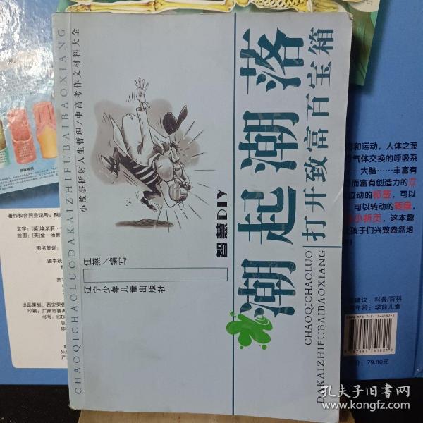 潮起潮落：打开致富百宝箱——智慧DIY