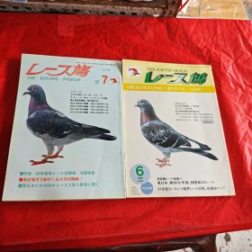 日文 信鸽杂志：1995年7月，1997年6月（两本合售）