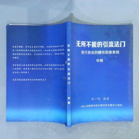 无所不能引流法门 各行各业的赚钱思维体统 中册