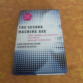 The Second Machine Age：Work, Progress, and Prosperity in a Time of Brilliant Technologies