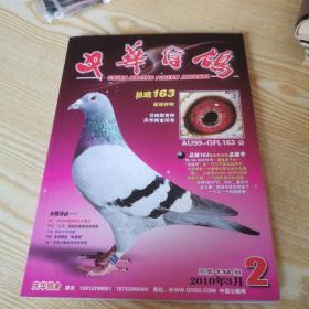 中华信鸽2010.2期