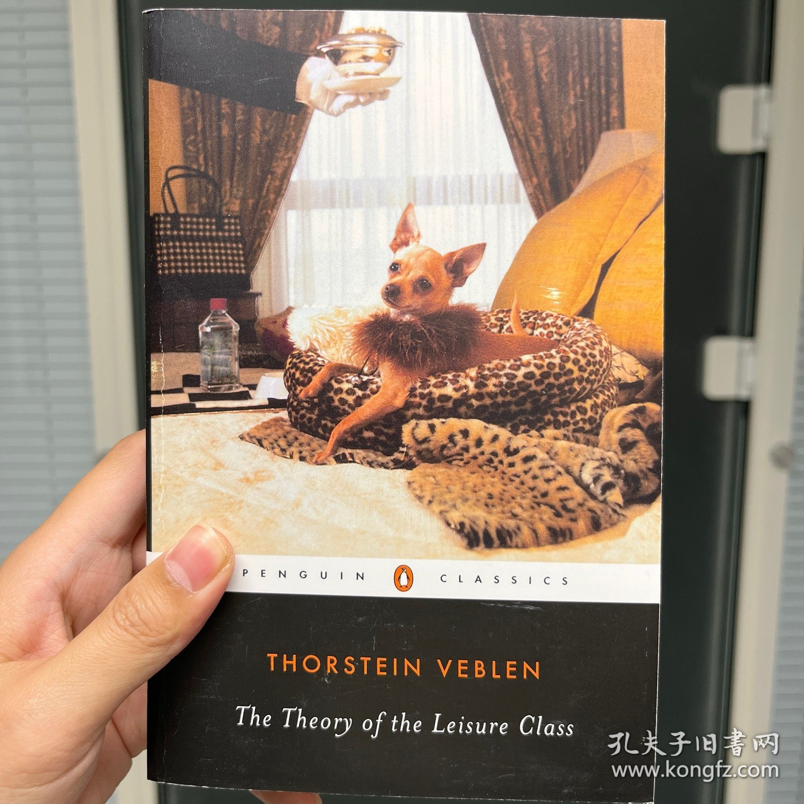 The Theory of the Leisure Class