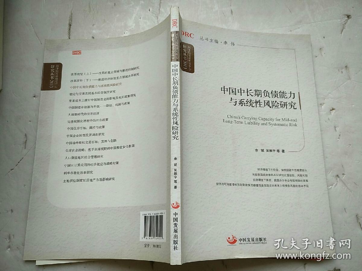 国务院发展研究中心研究丛书：中国中长期负债能力与系统性风险研究