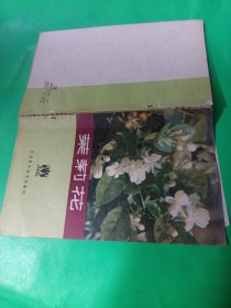 茉莉花