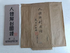 人体解剖图谱（史仲友钤印） 另有一信封，资源委员会中央电瓷有限公司上海办事处写给史仲友，信封反面史仲友毛笔题签、签名、钤印【史仲友，常州著名老中医】