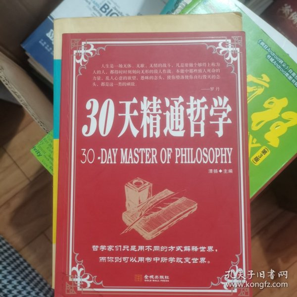 30天精通哲学