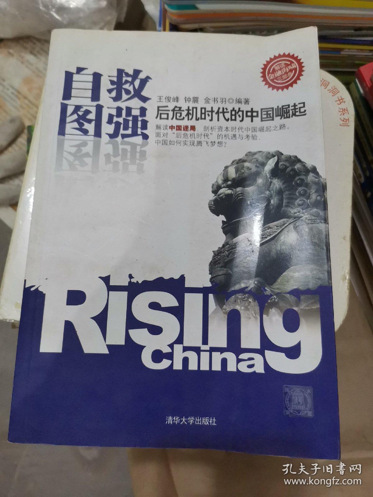 自救图强：后危机时代的中国崛起（小16开C210915）