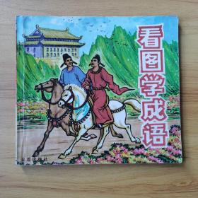 看图学成语：彩页版