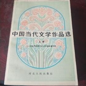 中国当代文学作品选 上下册