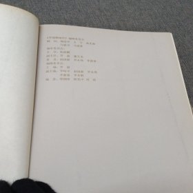 罗瑞卿画传（罗瑞卿将军诞辰100周年纪念）