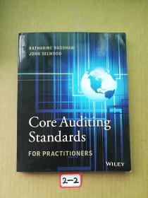 Core Auditing Standards for Practitioners, + website
