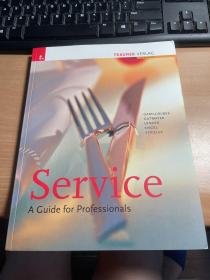Service A Guide for Professionals   2011年版本 稀 见 英语原版    3L    J89