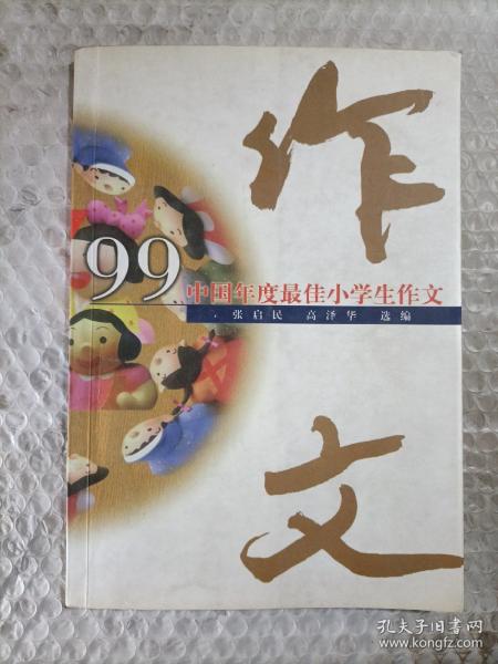 99中国年度最佳小学生作文