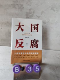 大国反腐