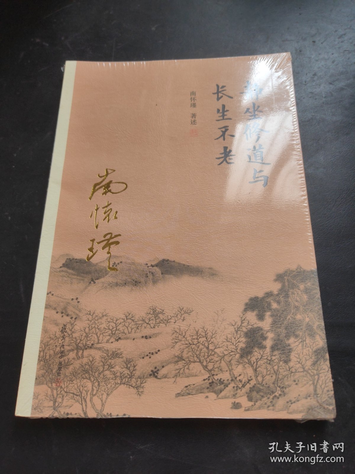 南怀瑾作品集（新版）：静坐修道与长生不老