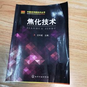 中国洁净煤技术丛书：焦化技术（一版一印）