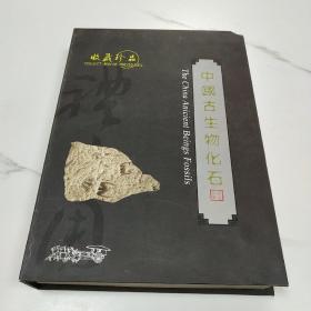 收藏珍品  中国古生物化石