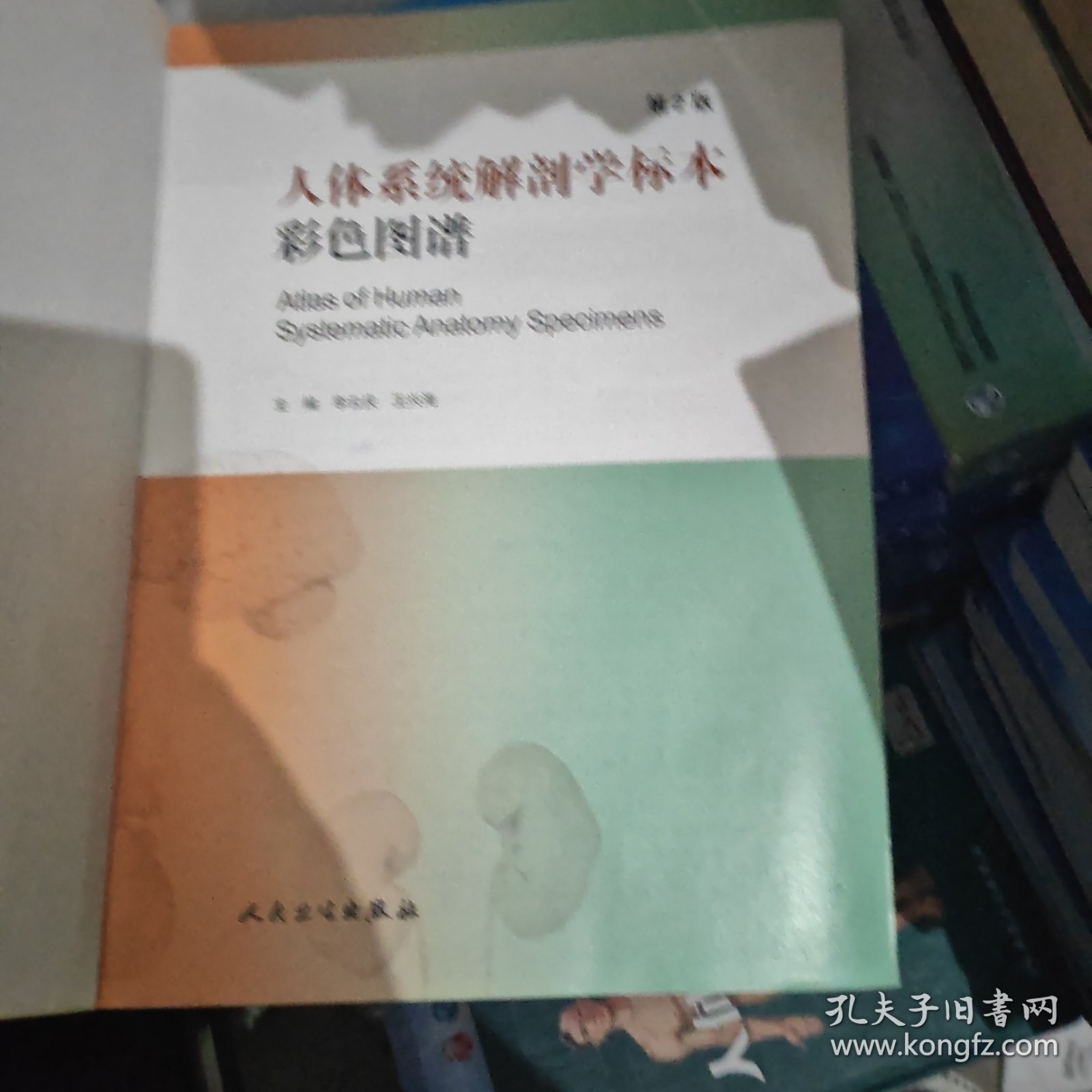 人体系统解剖学标本彩色图谱（第二版）