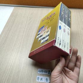 兩萬人的20年 上中下
